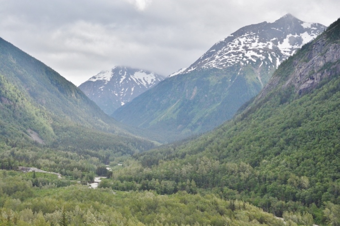 view from the train 